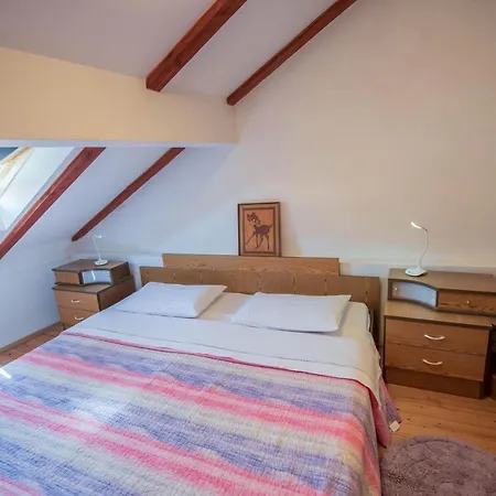 Apartment Jany Sibenik